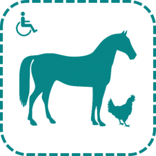 Ferme pédagogique accessible aux personnes en situation de handicap