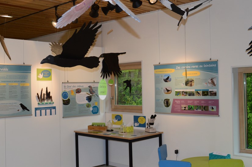 Bulleoutils2024 Maisondelanaturedupaysdesierck Corbeaux