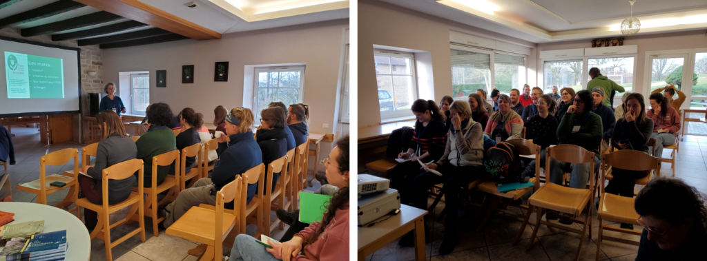 Loreen Jdesa 2024 11