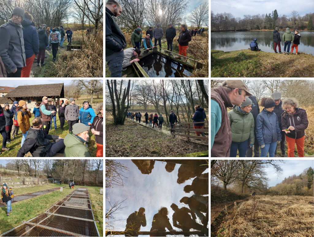 Loreen Jdesa 2024 12