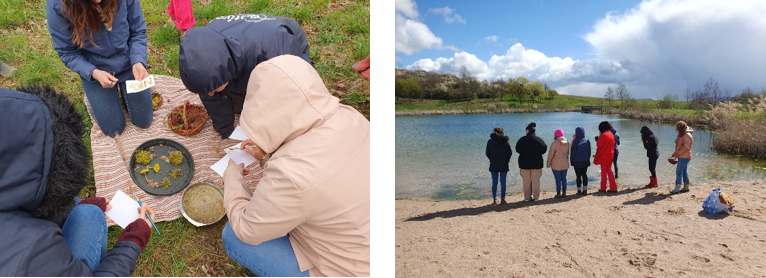 loreen synapse formation atelier vert 2024 1