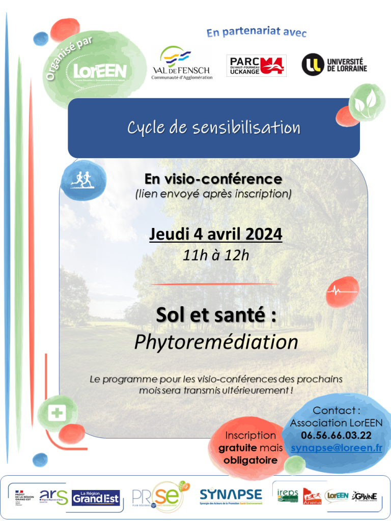 Loreen Synapse Visio Sol Avril 2024b