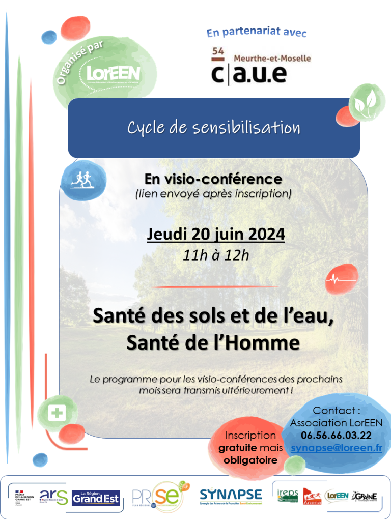 loreen synapse visio sols 2024 06 20