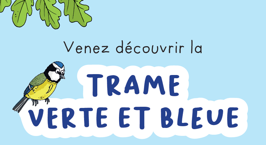 enquête abc loreen tvb