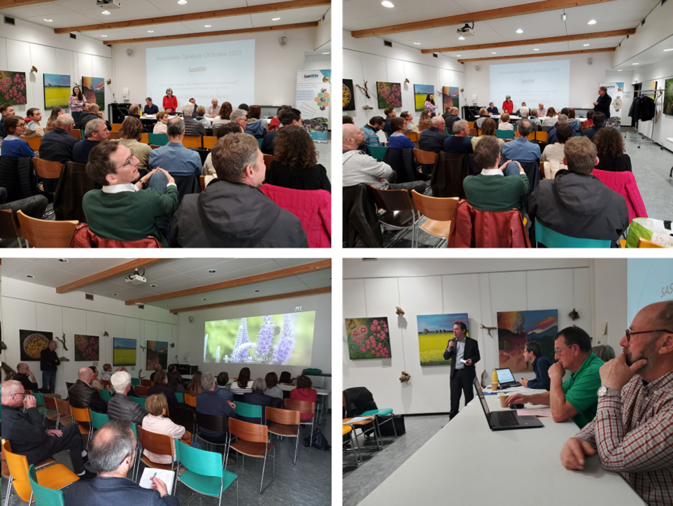 loreen ag 2023 2024 04 11a