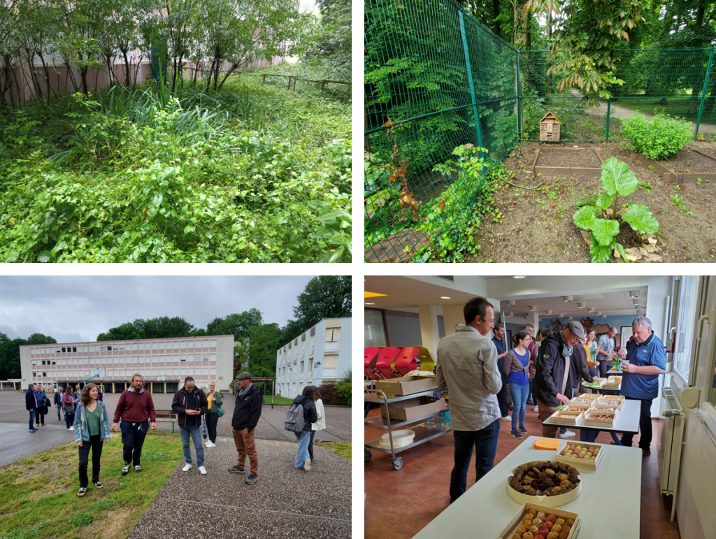 loreen life j. de restitution 3