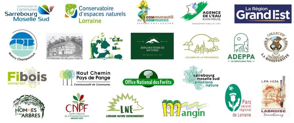 logos tvb site internet