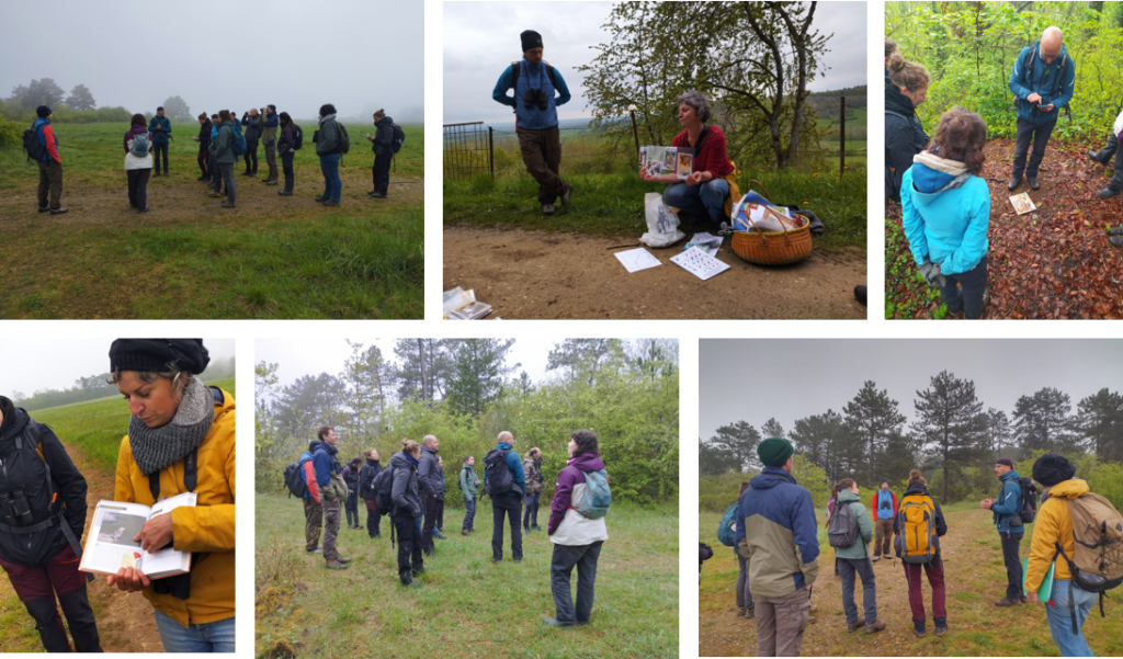 loreen entreedd ornithologie loana 2025