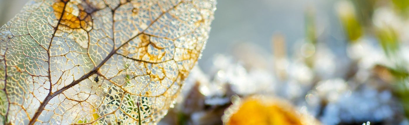 LorEEN_Education-Environnement-Nature-Lorraine_Actions