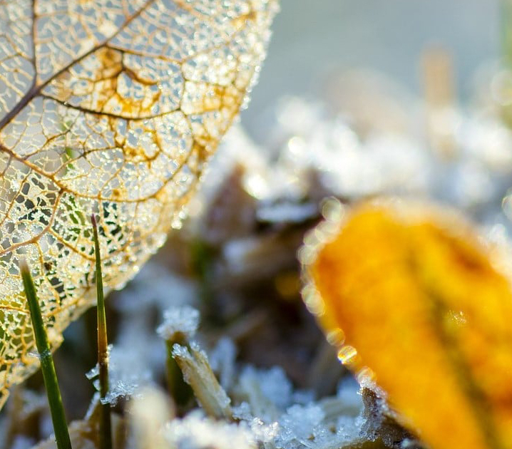 LorEEN_Education-Environnement-Nature-Lorraine_Actions