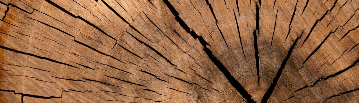 LorEEN_Education-Environnement-Nature-Lorraine_Etat-des-lieux-EEDD