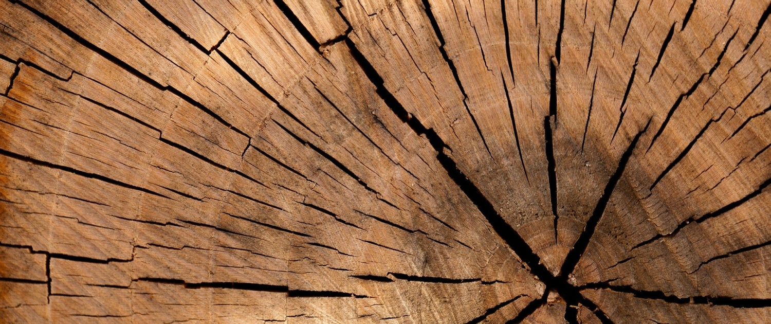 LorEEN_Education-Environnement-Nature-Lorraine_Etat-des-lieux-EEDD