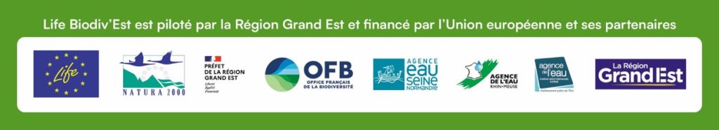 LorEEN_LIFE-BiodivEst_Partenaires-1024x186