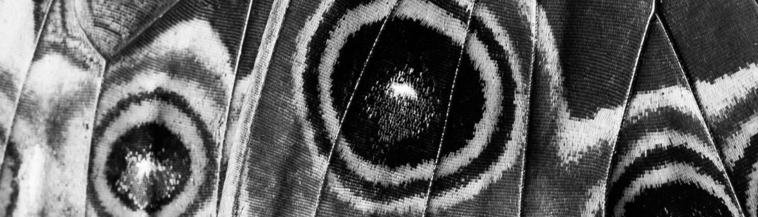 LorEEN_Education Environnement Nature Lorraine_Mentions légales