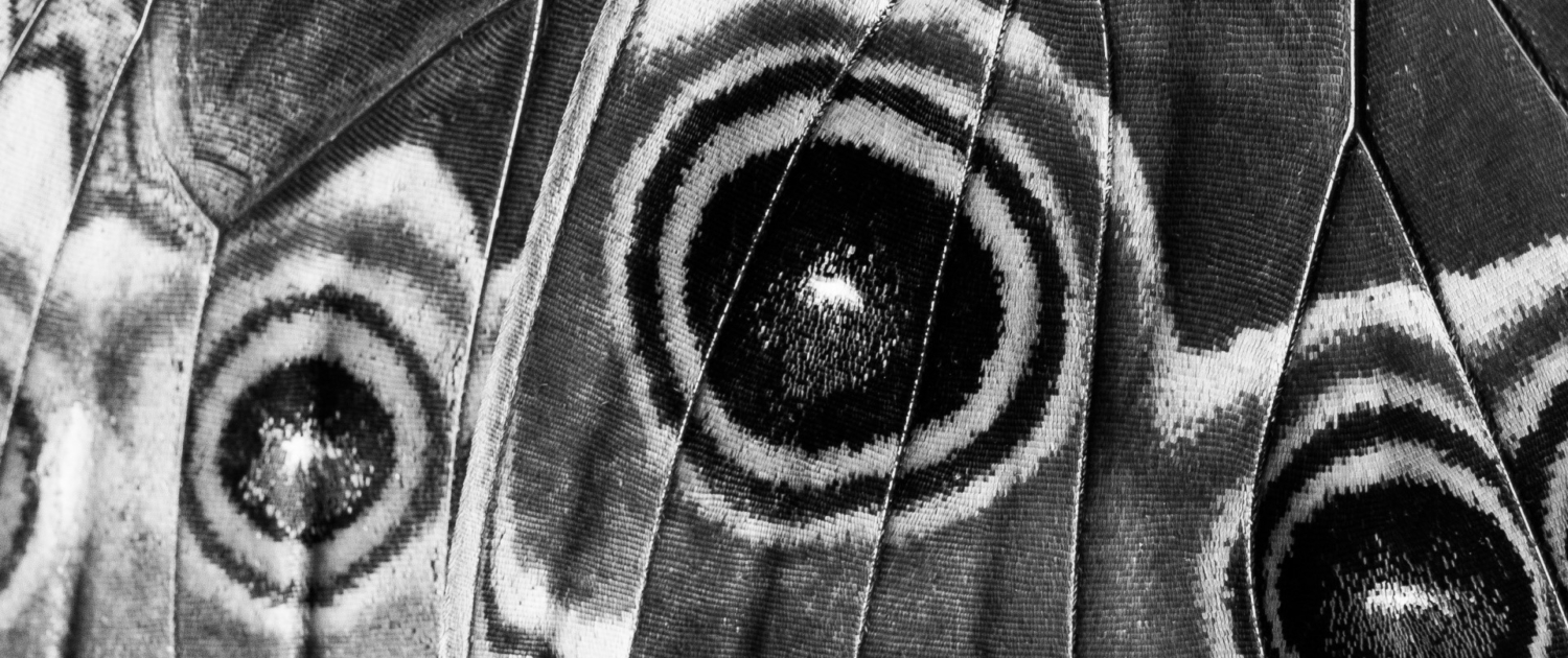 LorEEN_Education Environnement Nature Lorraine_Mentions légales